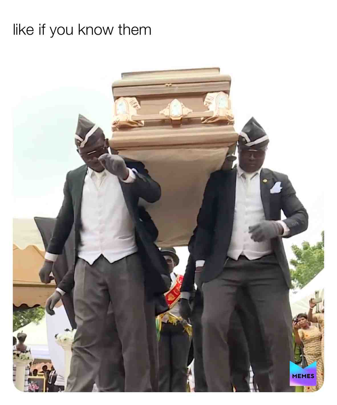 Meme shared by @edition_fun