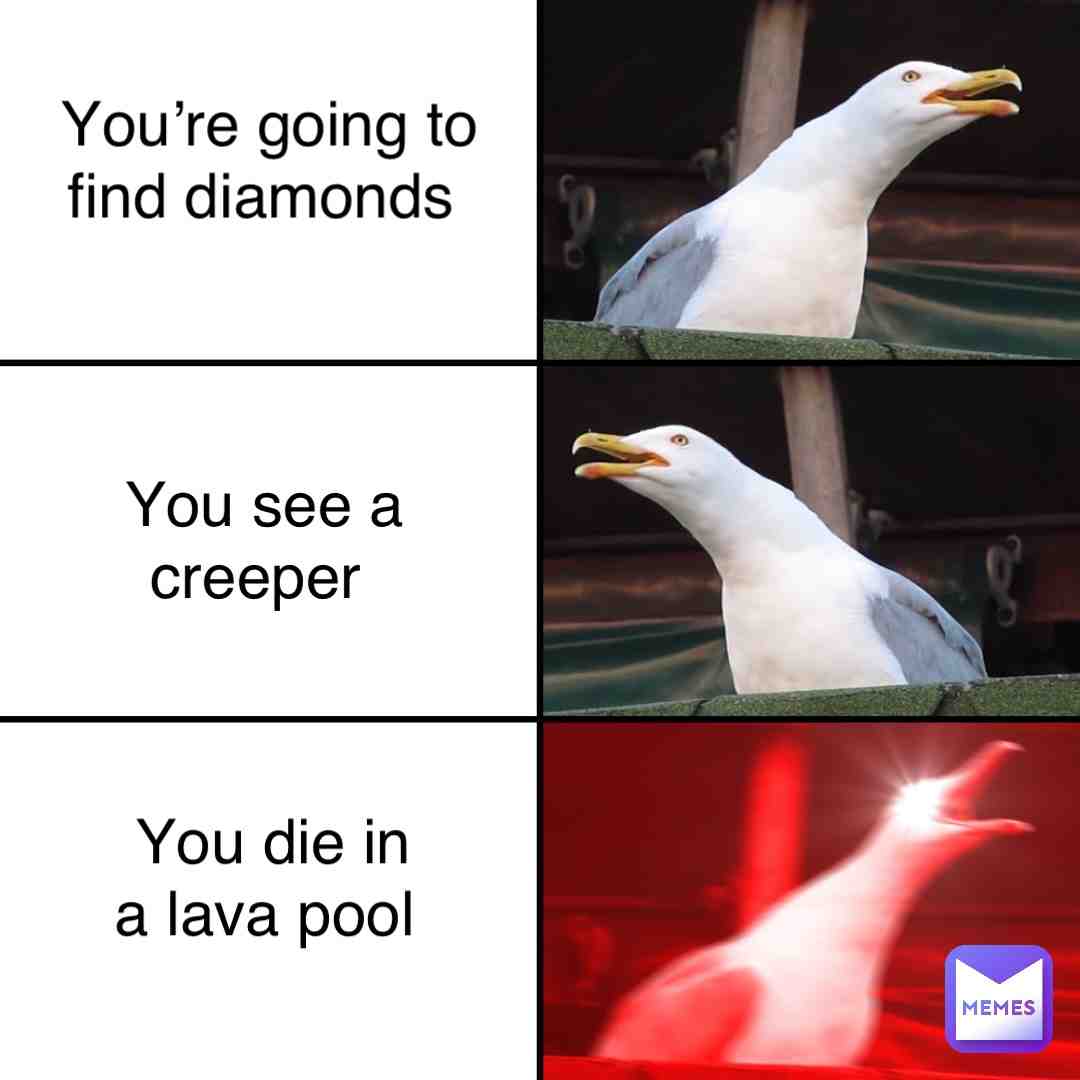 Meme shared by @Mr_memes27383637
