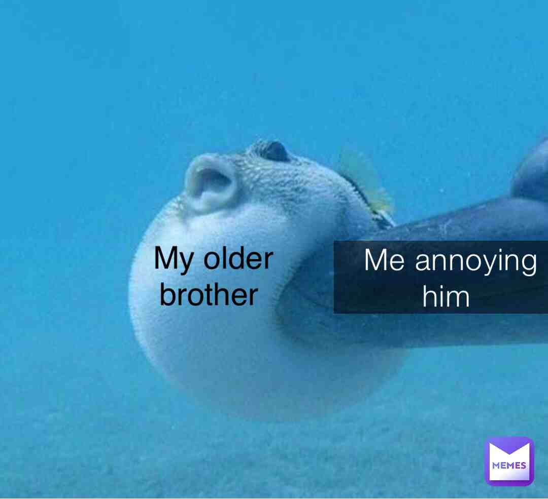 Meme shared by @Mr_memes27383637