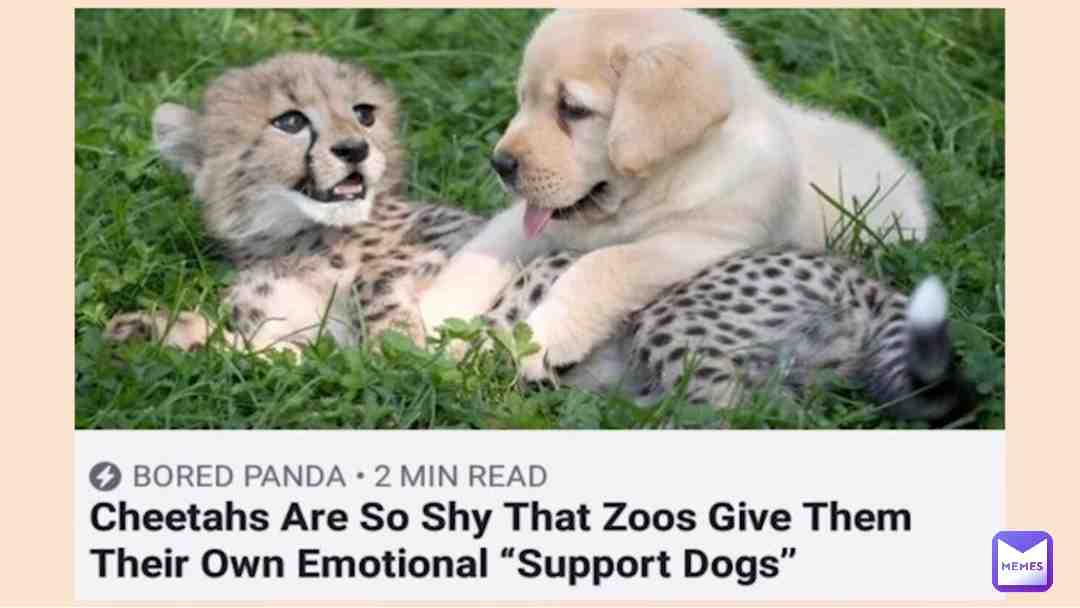 This made me smile