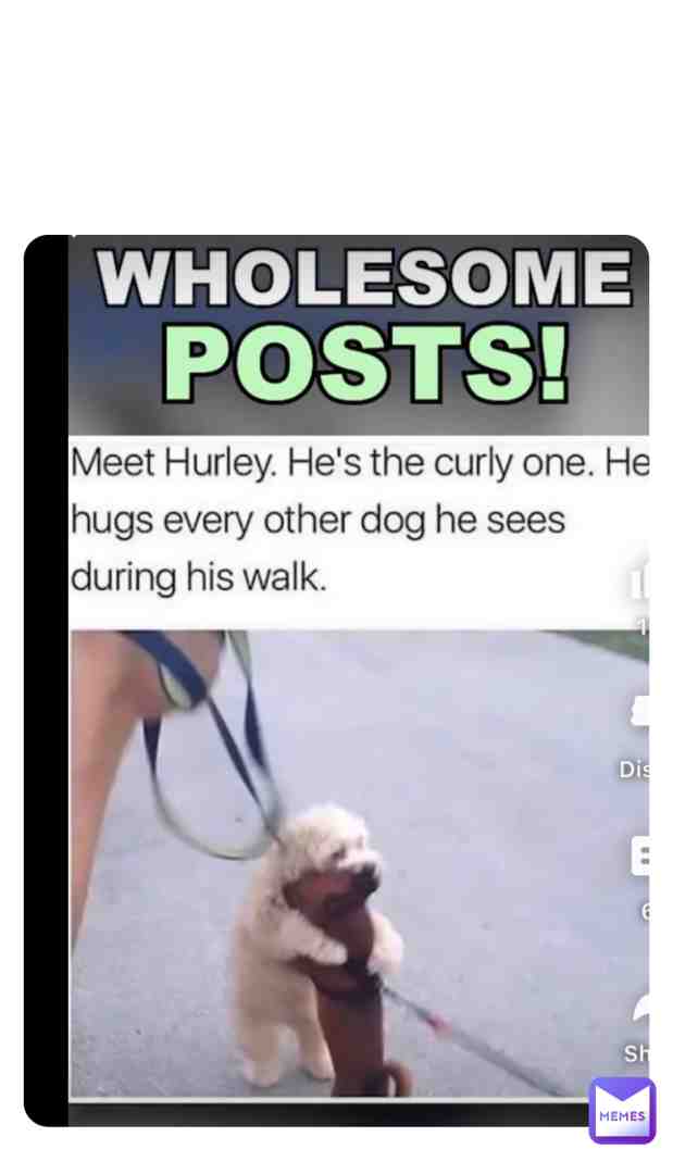 Wholesome meme