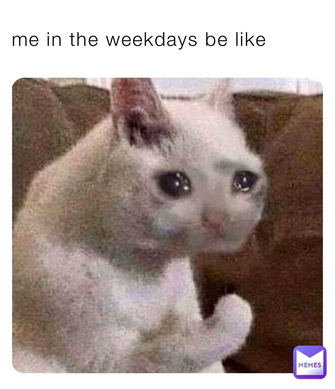 me in the weekdays be like
