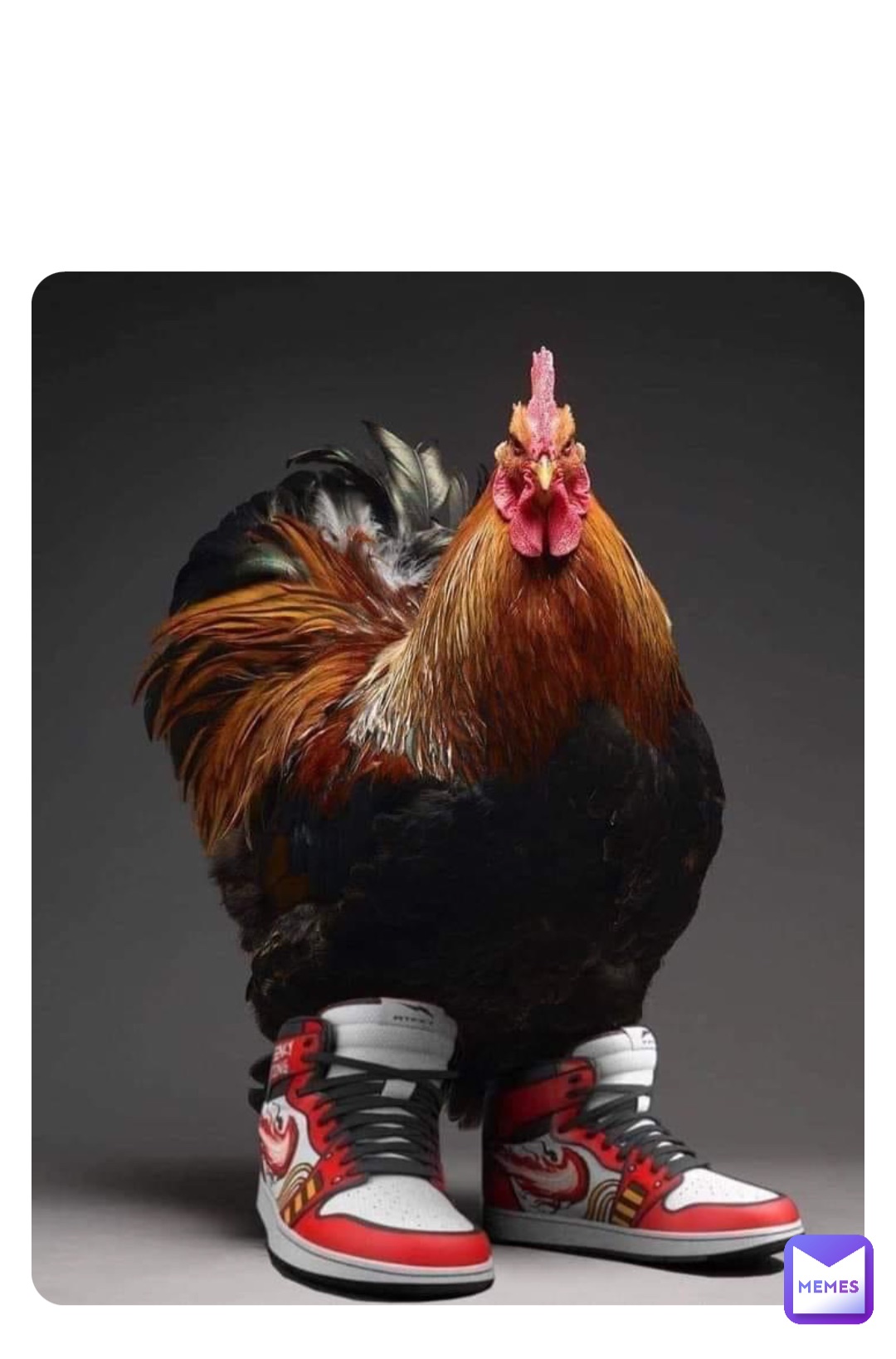 Discover more than 150 chicken wearing sneakers best
