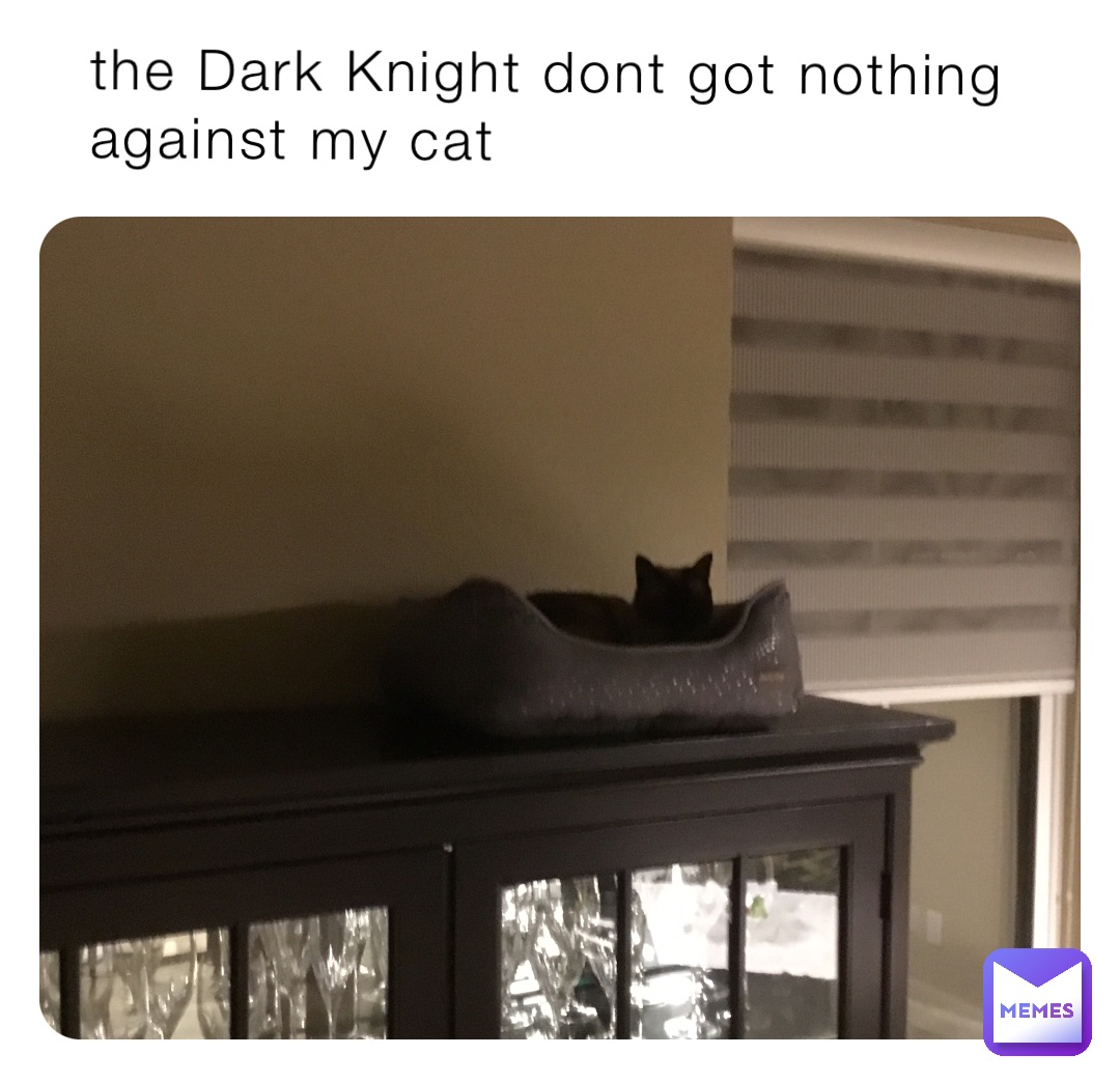 the Dark Knight dont got nothing against my cat