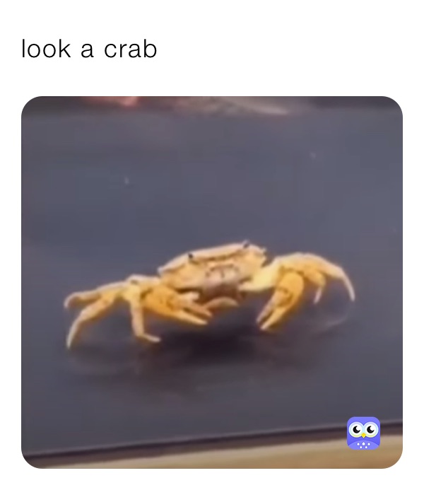 look a crab