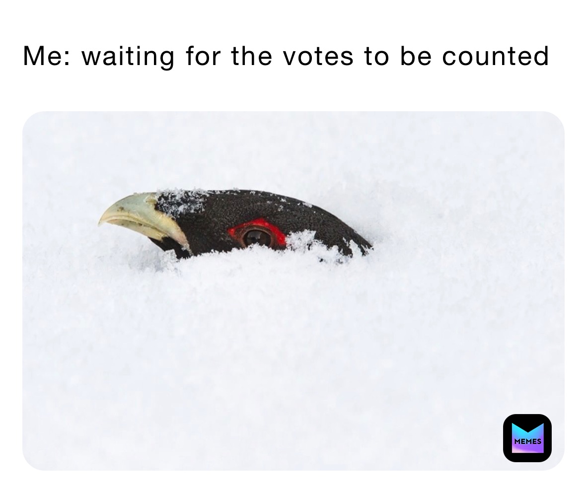 Me: waiting for the votes to be counted