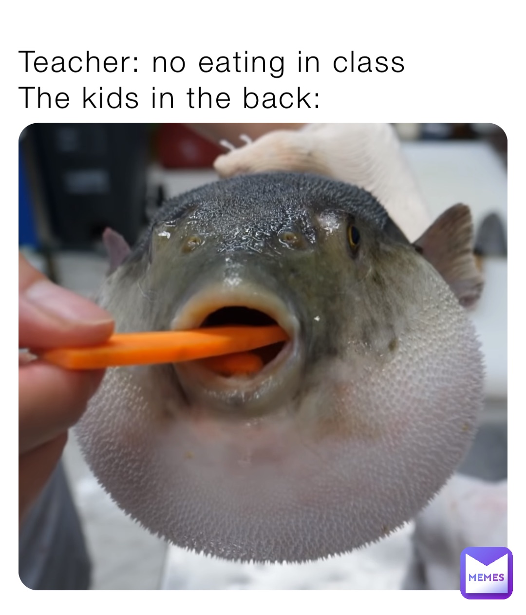 Teacher: no eating in class
The kids in the back: