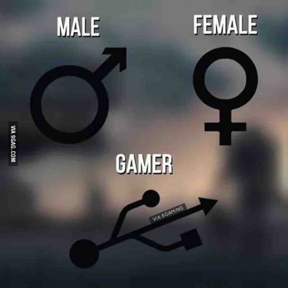 Who is a gamer here?  #memes  #gamingmemes  #gamer  #gamergirl  #under_kops_inc  #under_kops_inc_memes  #lol
