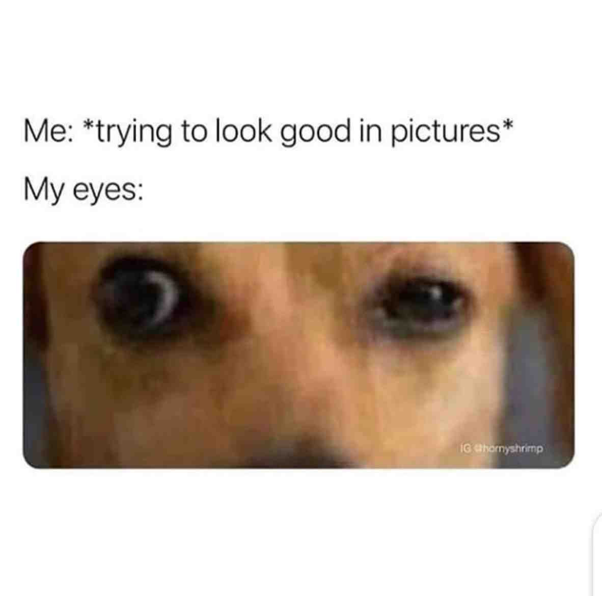 💯% accurate   #under_kops_inc_memes  #under_kops_inc
