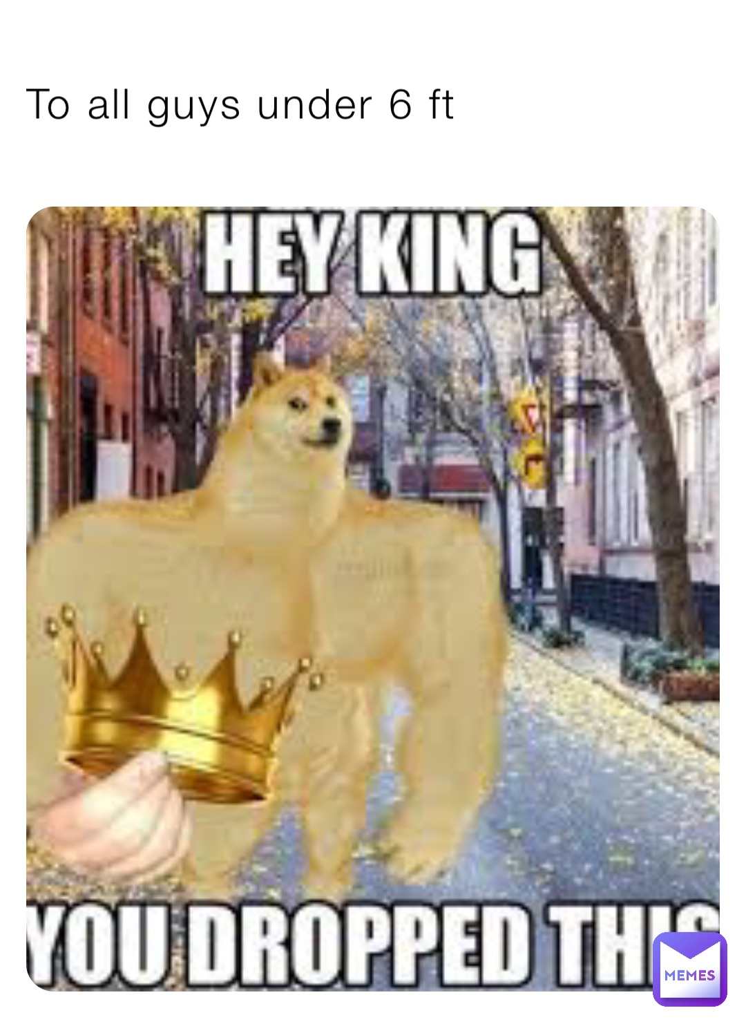 To all guys under 6 ft