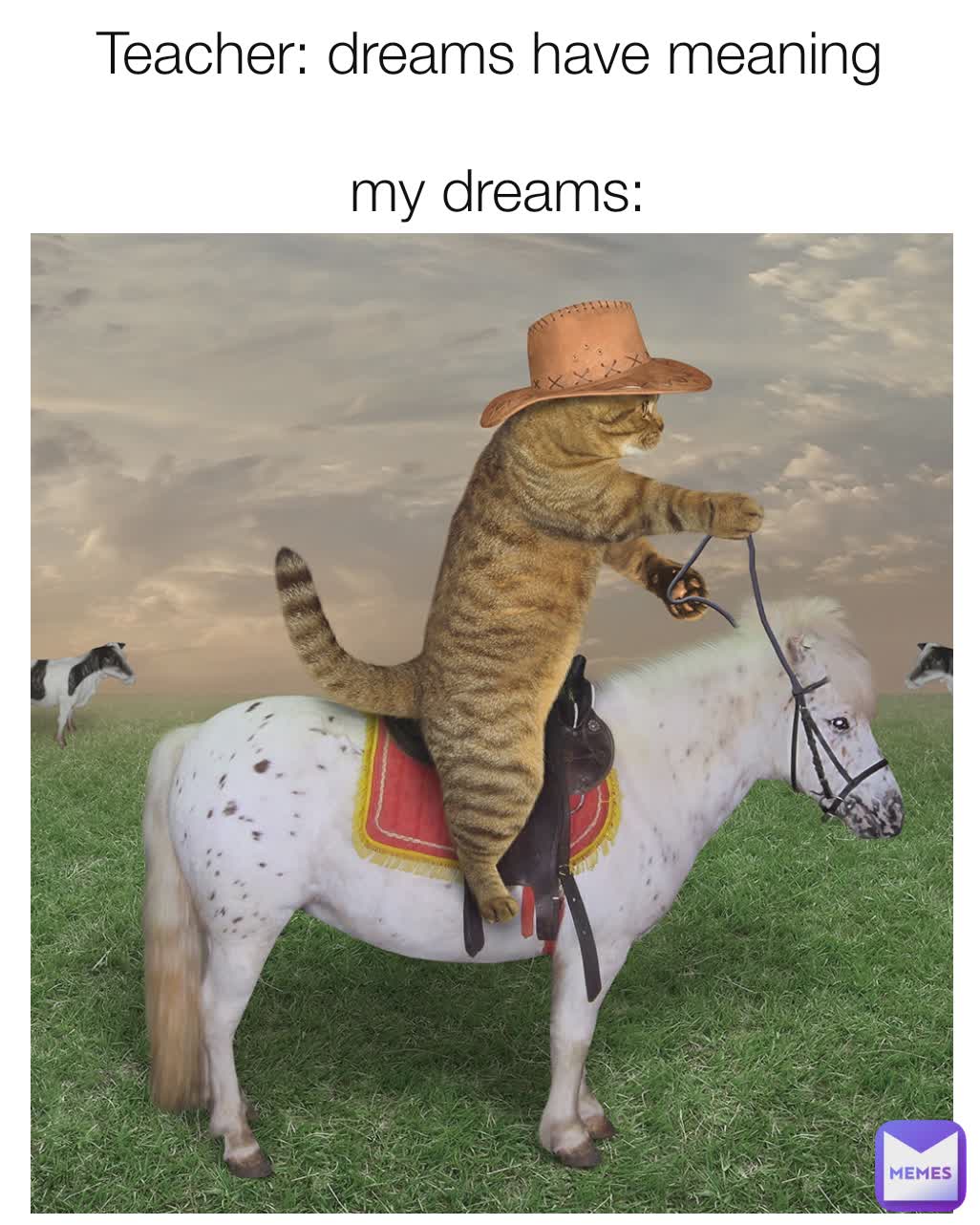 Teacher: dreams have meaning 

my dreams: