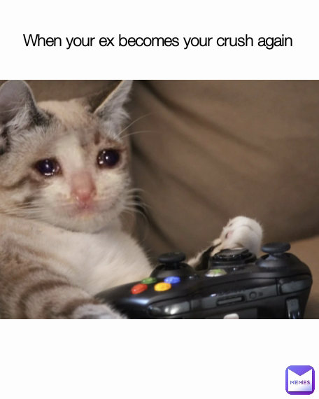 Meme by DeWhikendMemes