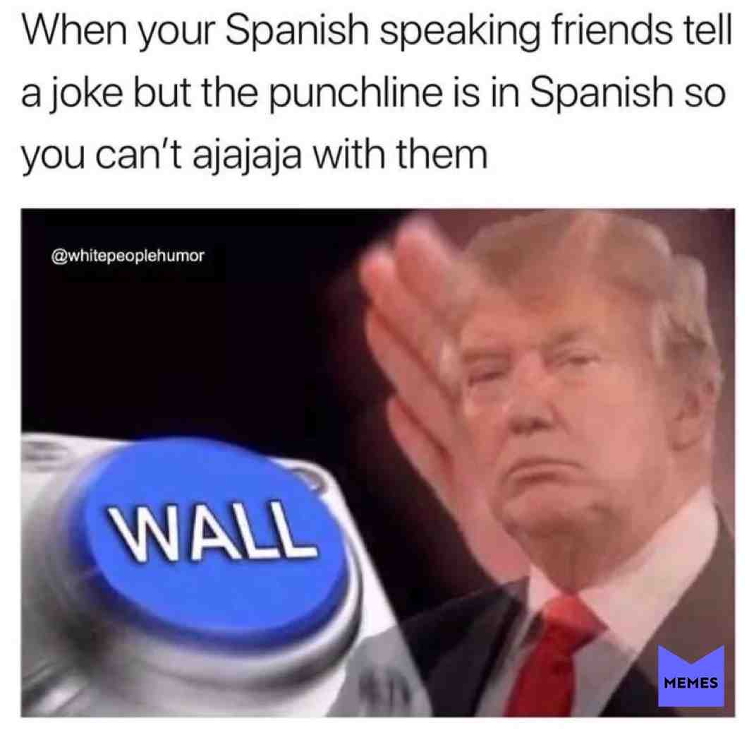 Meme shared by @YourLocalHollowVessel