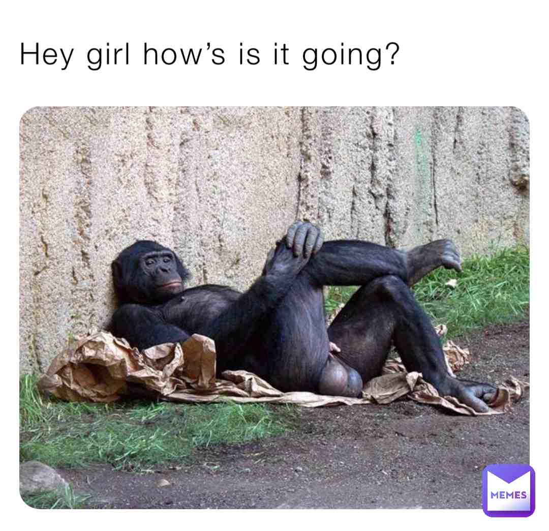 Meme preview