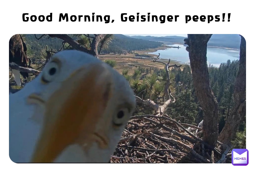 Good Morning, Geisinger peeps!!