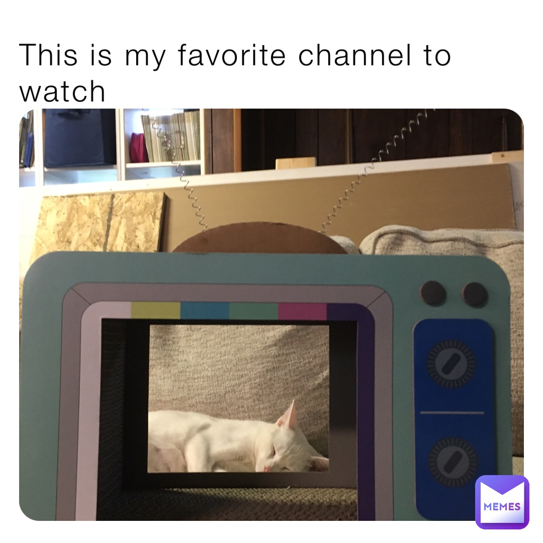 This is my favorite channel to watch