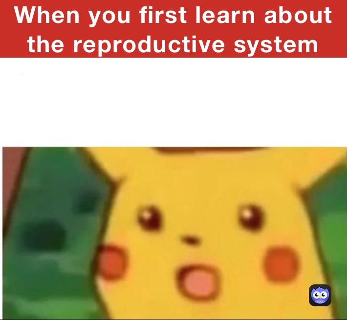 When you first learn about the reproductive system 