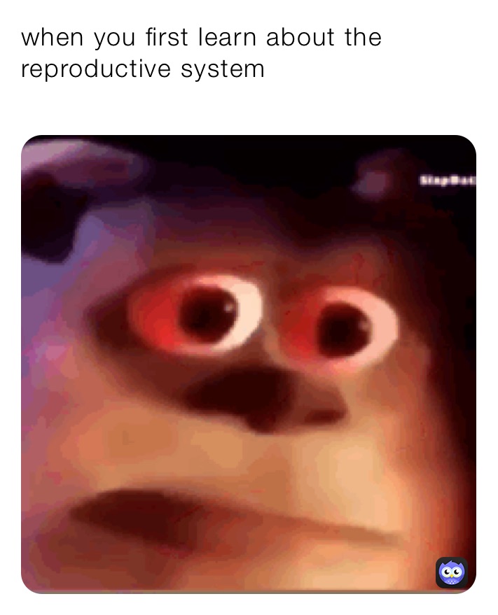 Meme by screaming_beaver