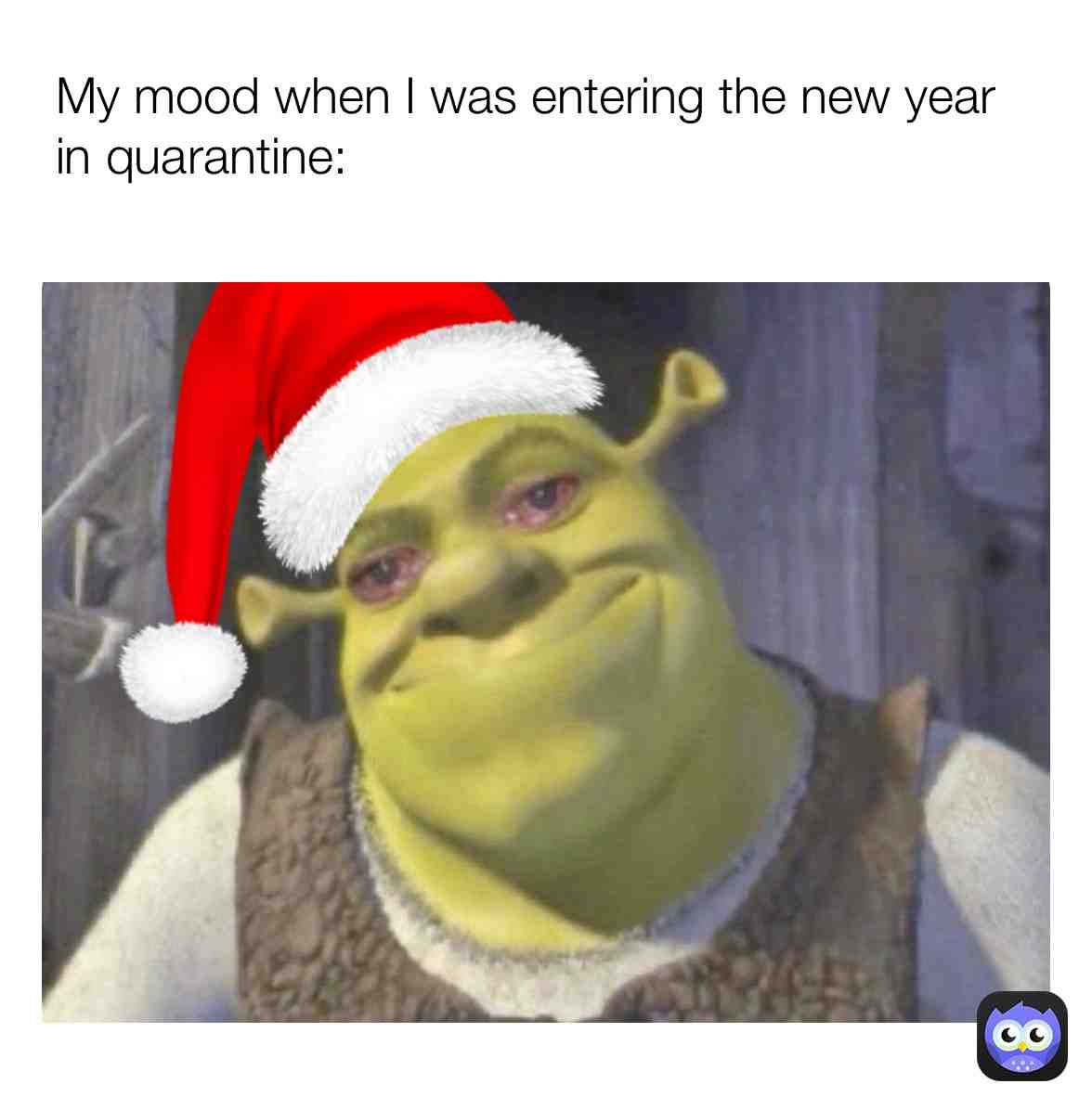 #quarantine #shrek #newyear #2021 #mood