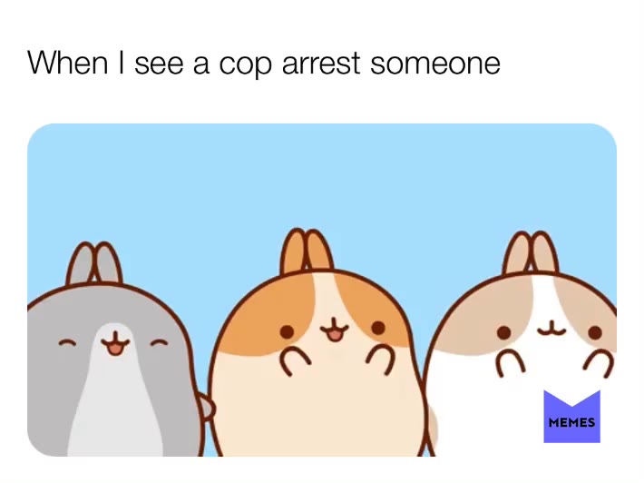Meme shared by @ChairmanMeow