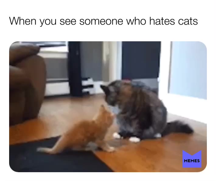 Meme shared by @ChairmanMeow