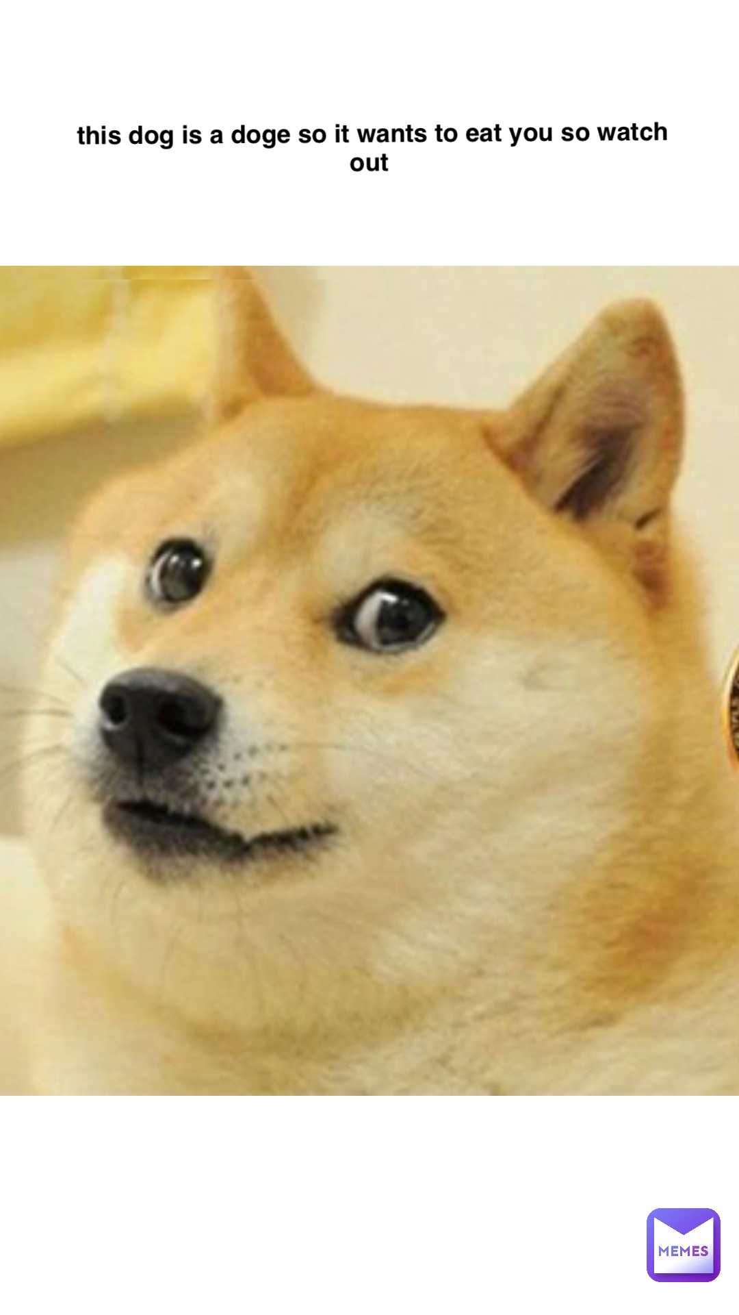 this dog is a doge so it wants to eat you so watch out