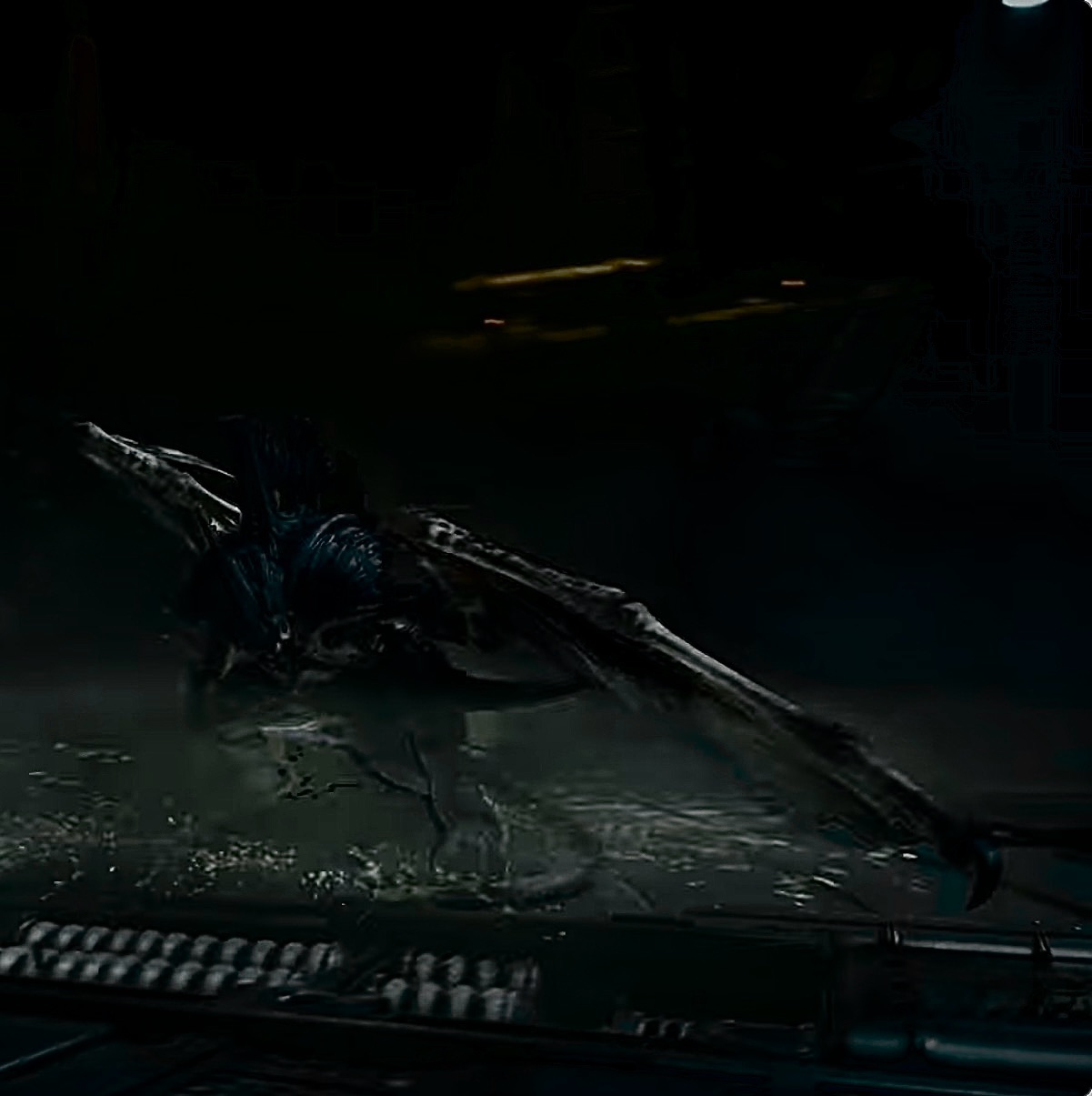 Meme by Badger9222996