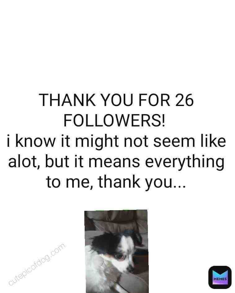 Meme shared by @memes4u.com