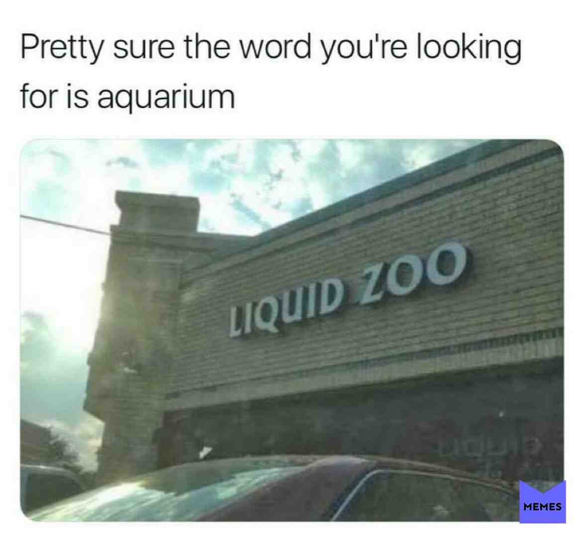 When you google translate your logo \ud83d\ude02
.
.FOLLOW @meme2offend for memes daily!!
.comments and like are appreciated\ud83e\udd1e\ud83c\udffb
.
 #funnymemes  #dankmemes  #memesdaily  #memes  #offensivememes  #memes4days  #memes4dayz  #funny  #lol  #meme2offend  #meme  #memez  #memestagram  #memesrlife  #edgymeme  #bestmemes  #follow  #dank  #like  #swag  #viral  #like4like  #memepage  #ninja  #fortnite  #gaming  #blackout  #xbox  #ps4  #cringe