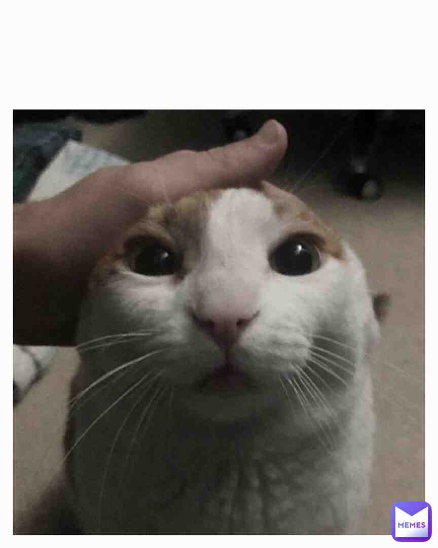 Meme shared by @drakeplo