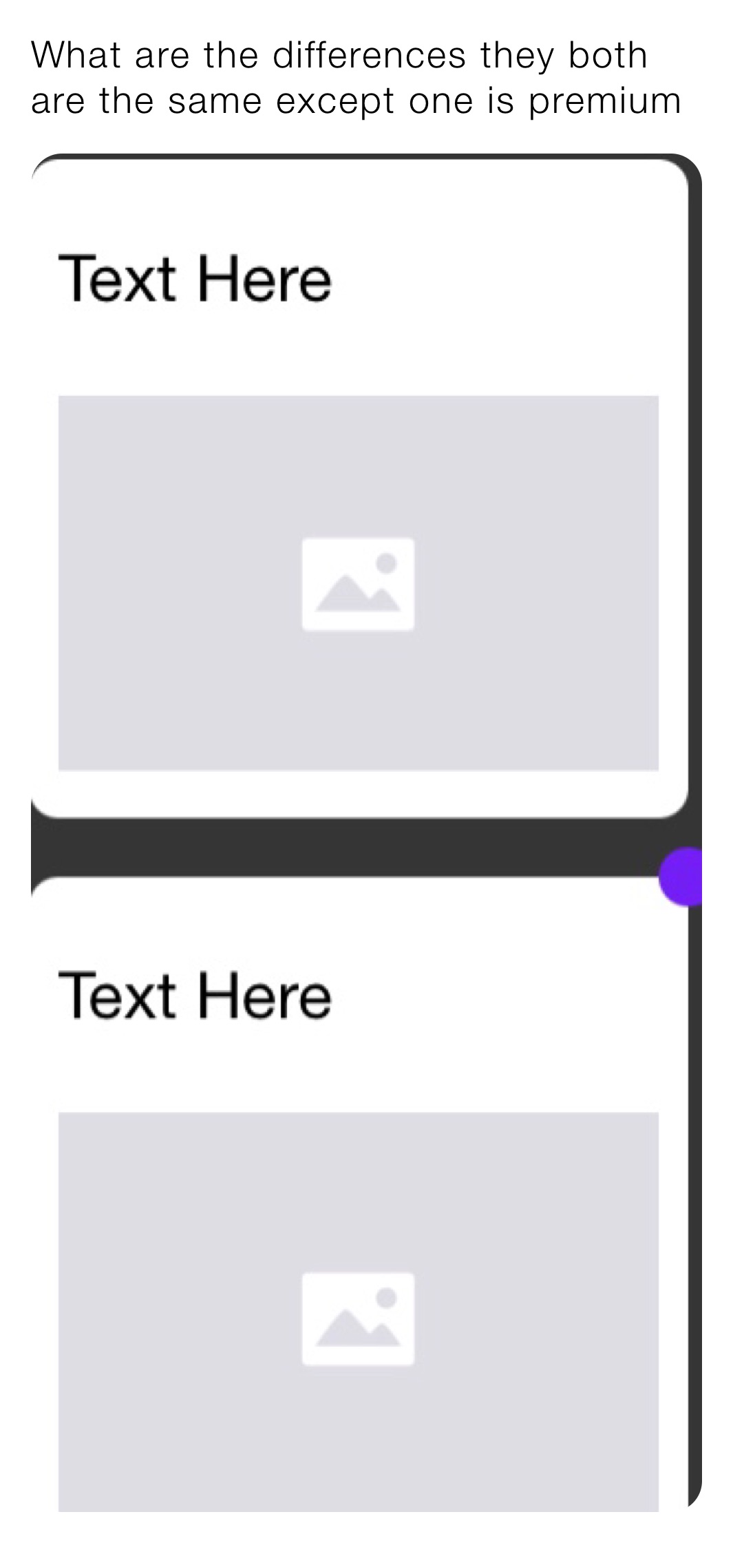 what-are-the-differences-they-both-are-the-same-except-one-is-premium