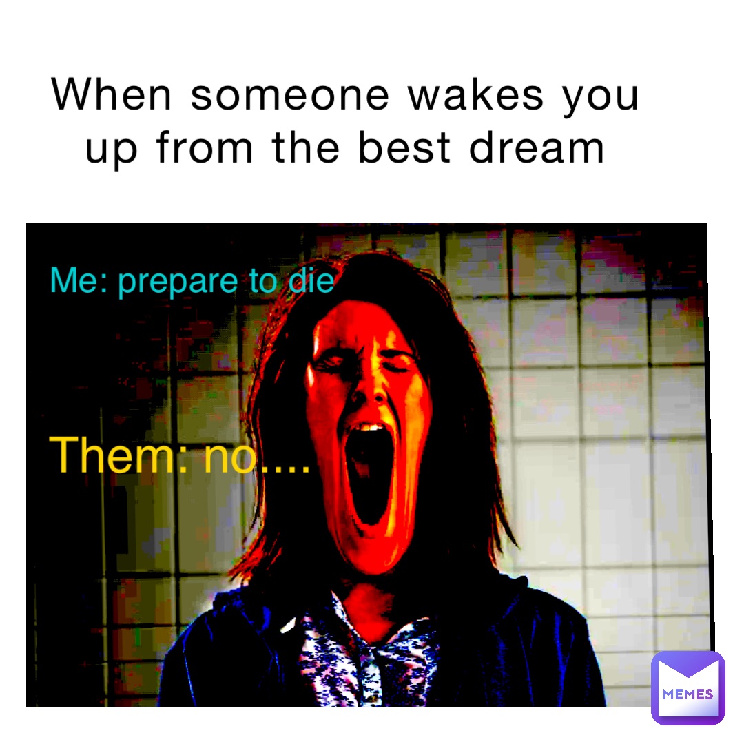 When someone wakes you up from the best dream me: prepare to die Them: no....