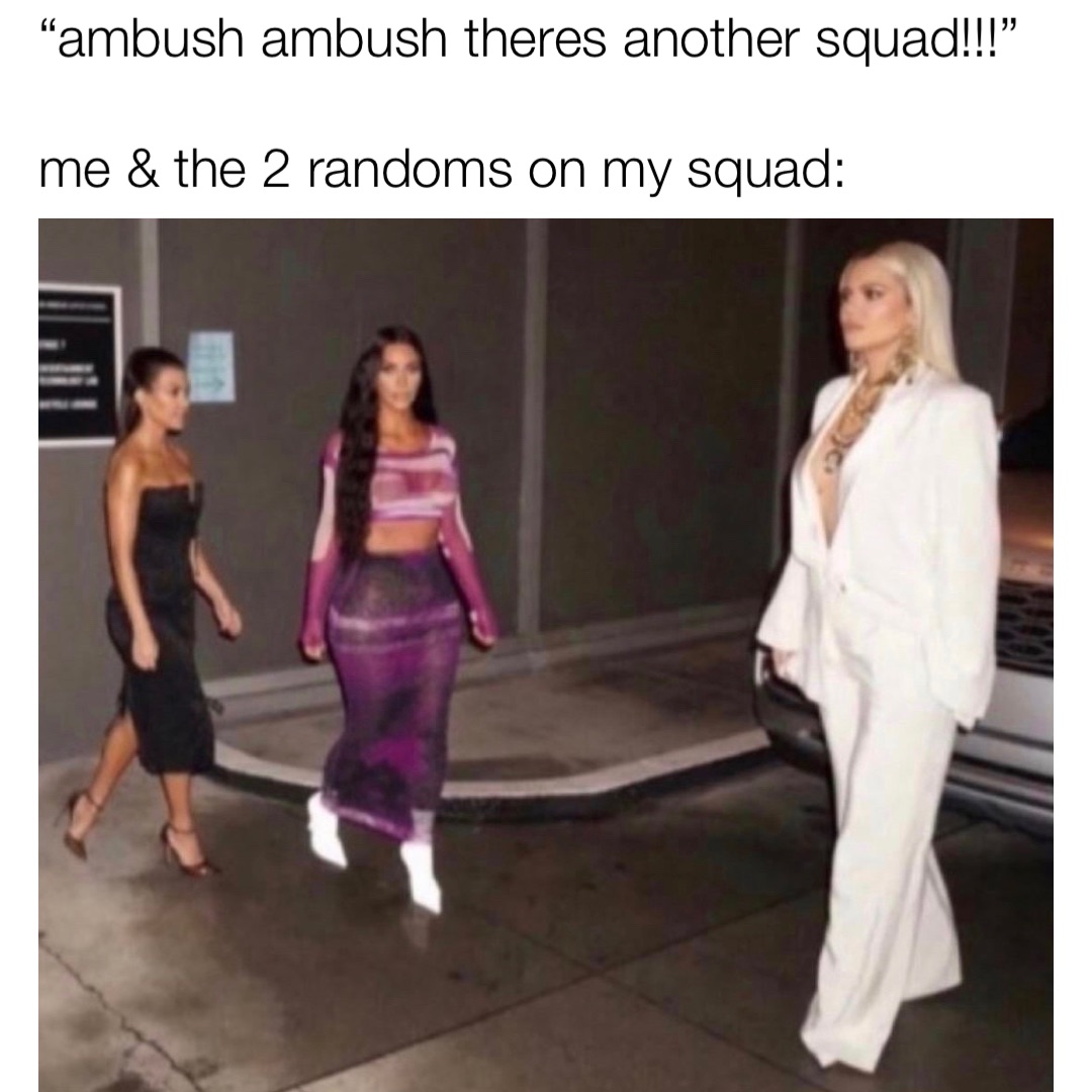“ambush ambush theres another squad!!!”

me & the 2 randoms on my squad: