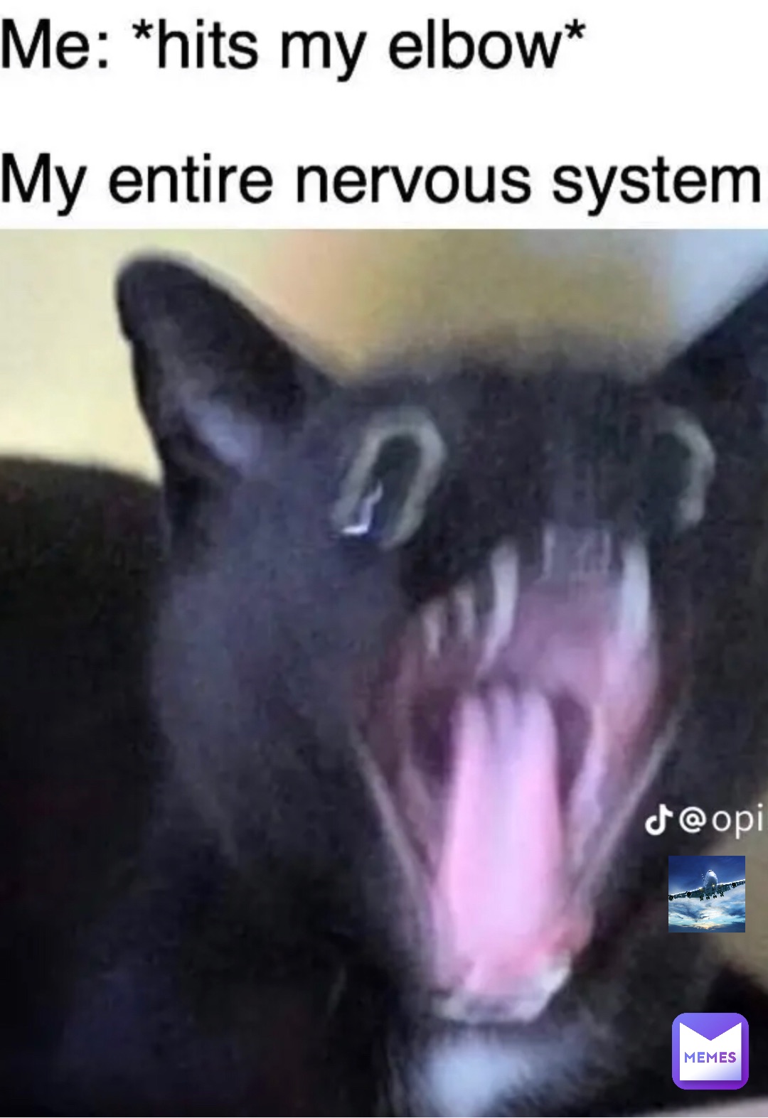 Meme by boeing_747_memer