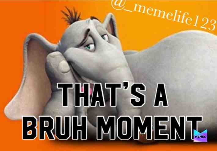 Bruh moments be like
#meme #memelife #memelord #thetruth #memesdaily #lifeofthememes #respectthedripkaren #dunno #ithinknot #orginal #narutorun #waitforit #memegod #ilikememes #spongebob #dankmemes