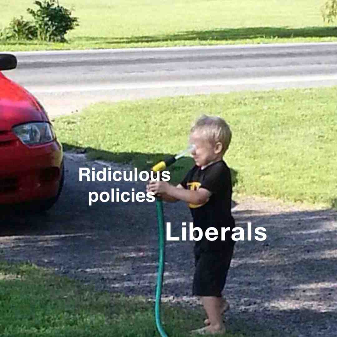 Meme shared by @Leftdiculous