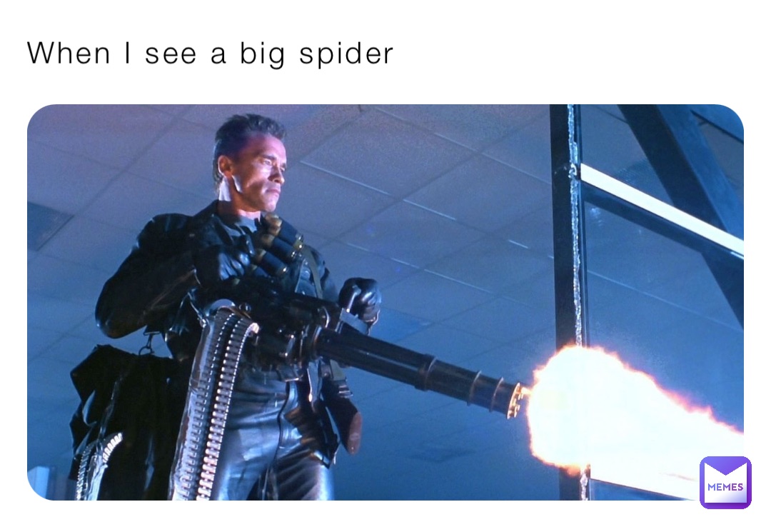 When I see a big spider