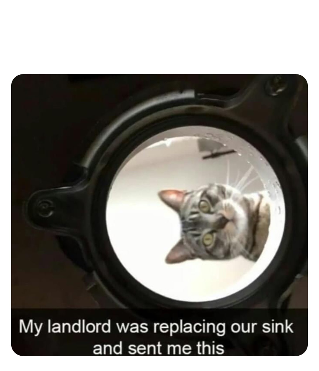 Double tap to edit