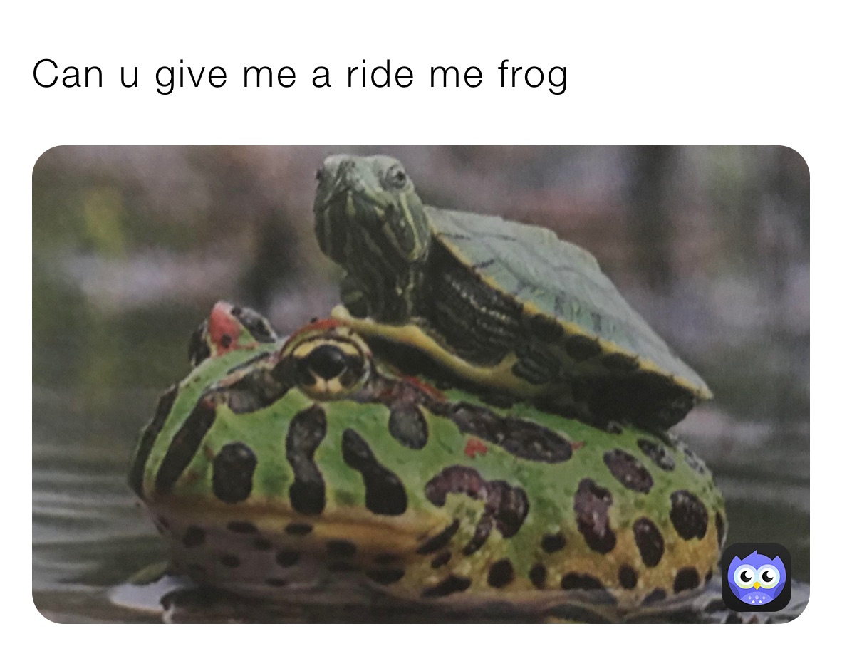 Can u give me a ride me frog