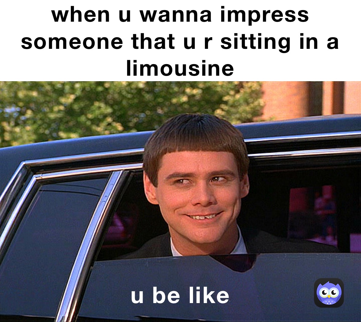 when u wanna impress someone that u r sitting in a limousine  u be like
