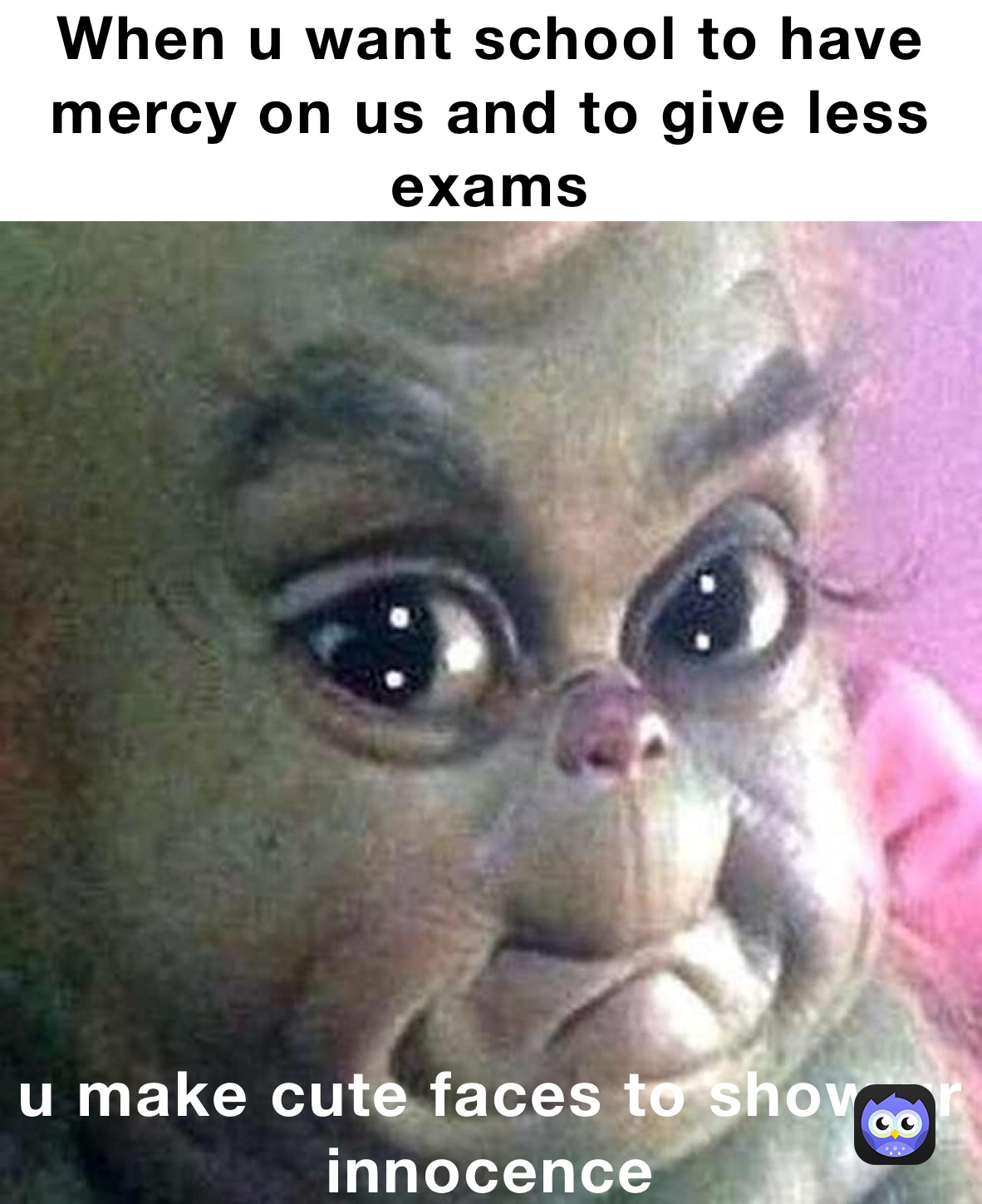 When u want school to have mercy on us and to give less exams u make cute faces to show ur innocence 