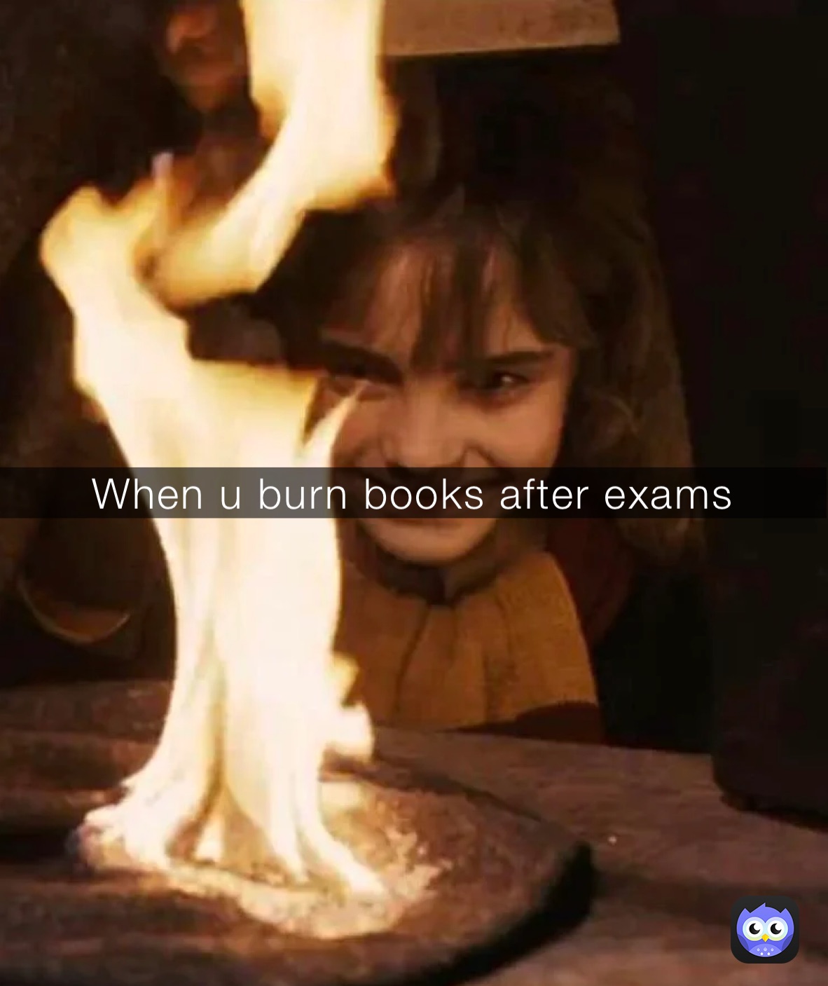 When u burn books after exams