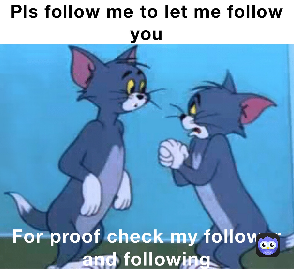 Pls follow me to let me follow you For proof check my follower and following