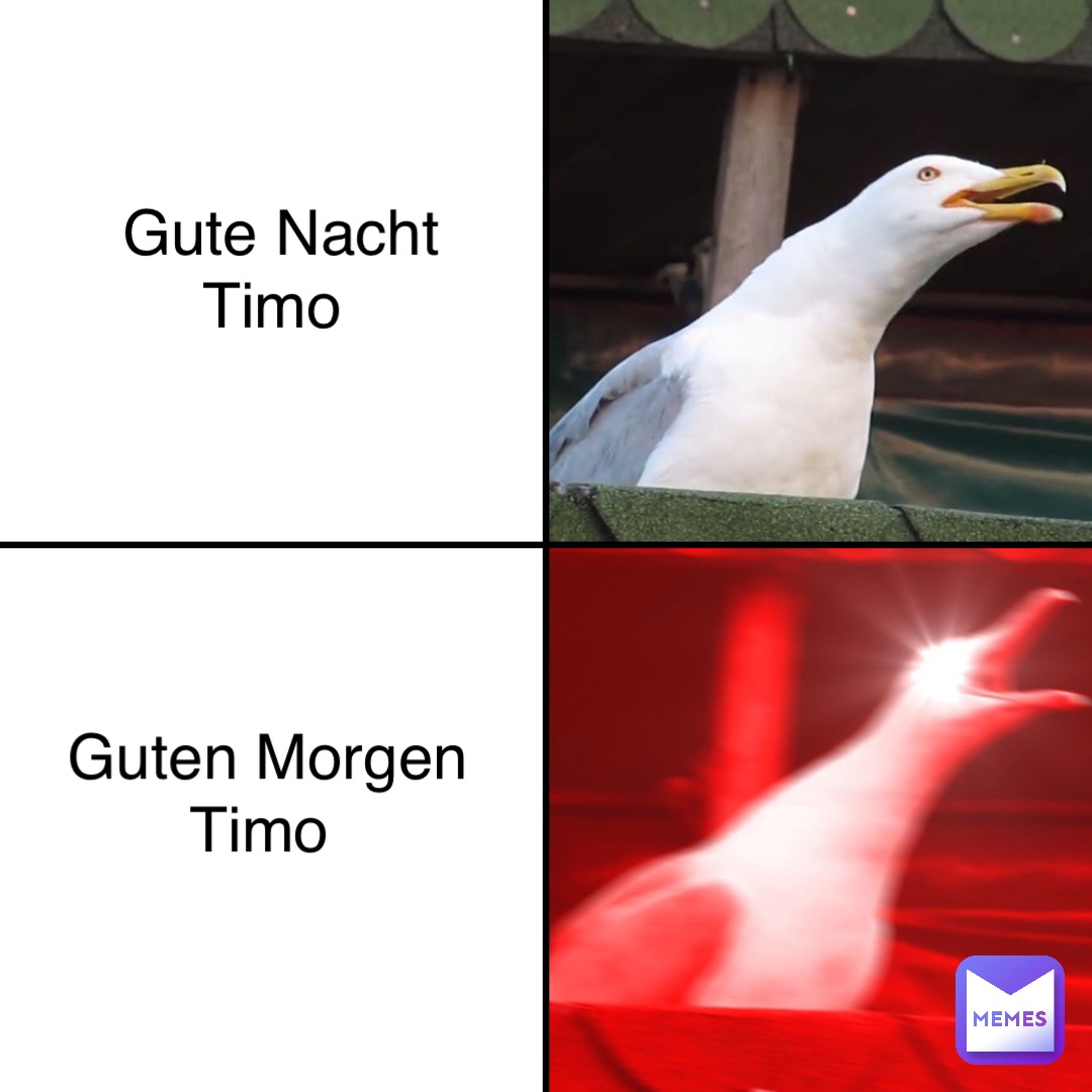 Gute Nacht Timo Guten Morgen Timo