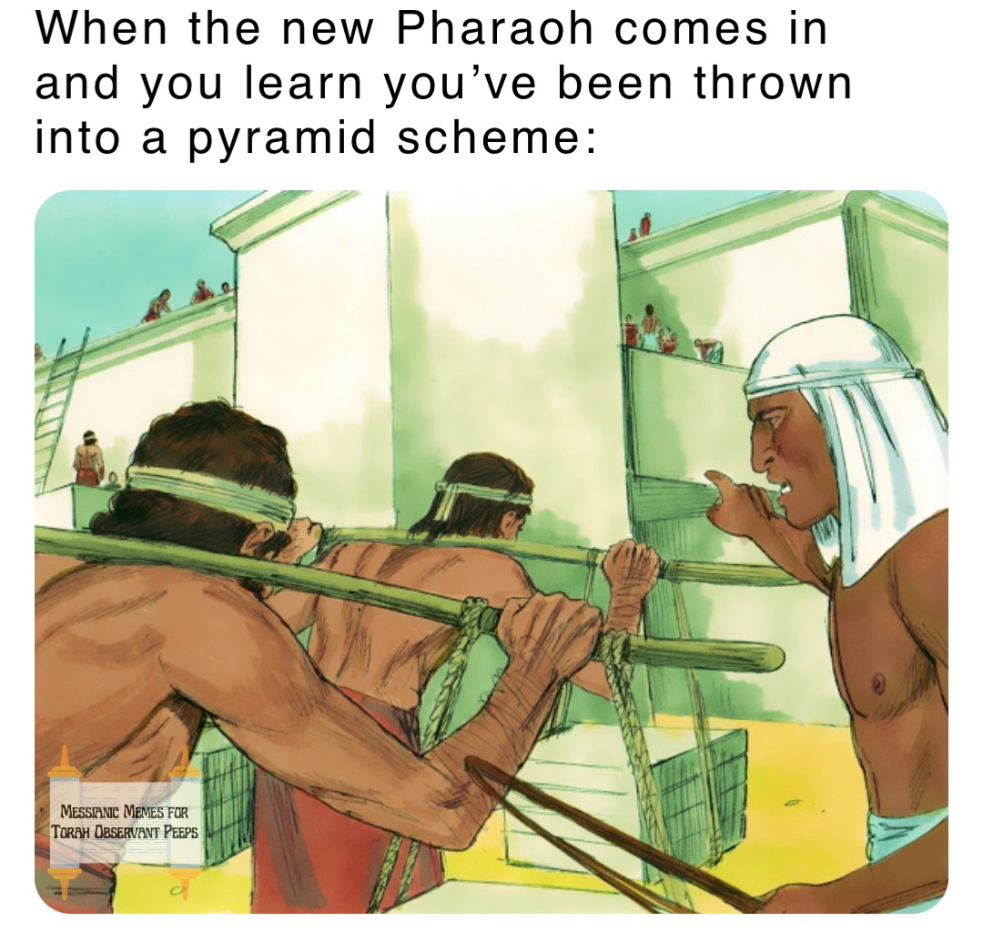 When the new Pharaoh comes in and you learn you’ve been thrown into a pyramid scheme: