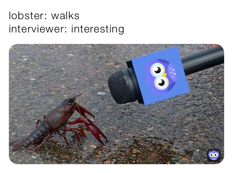 lobster: walks 
interviewer: interesting 