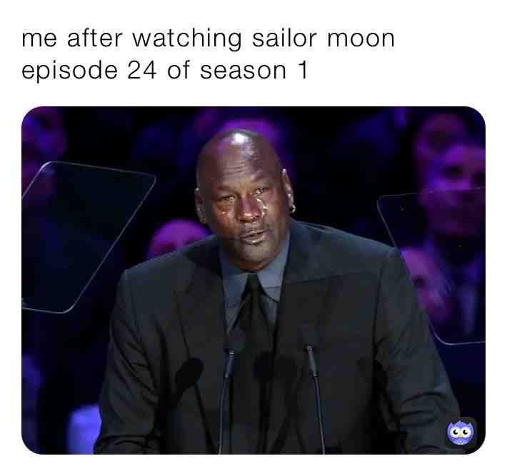 ​ #sailor moon
