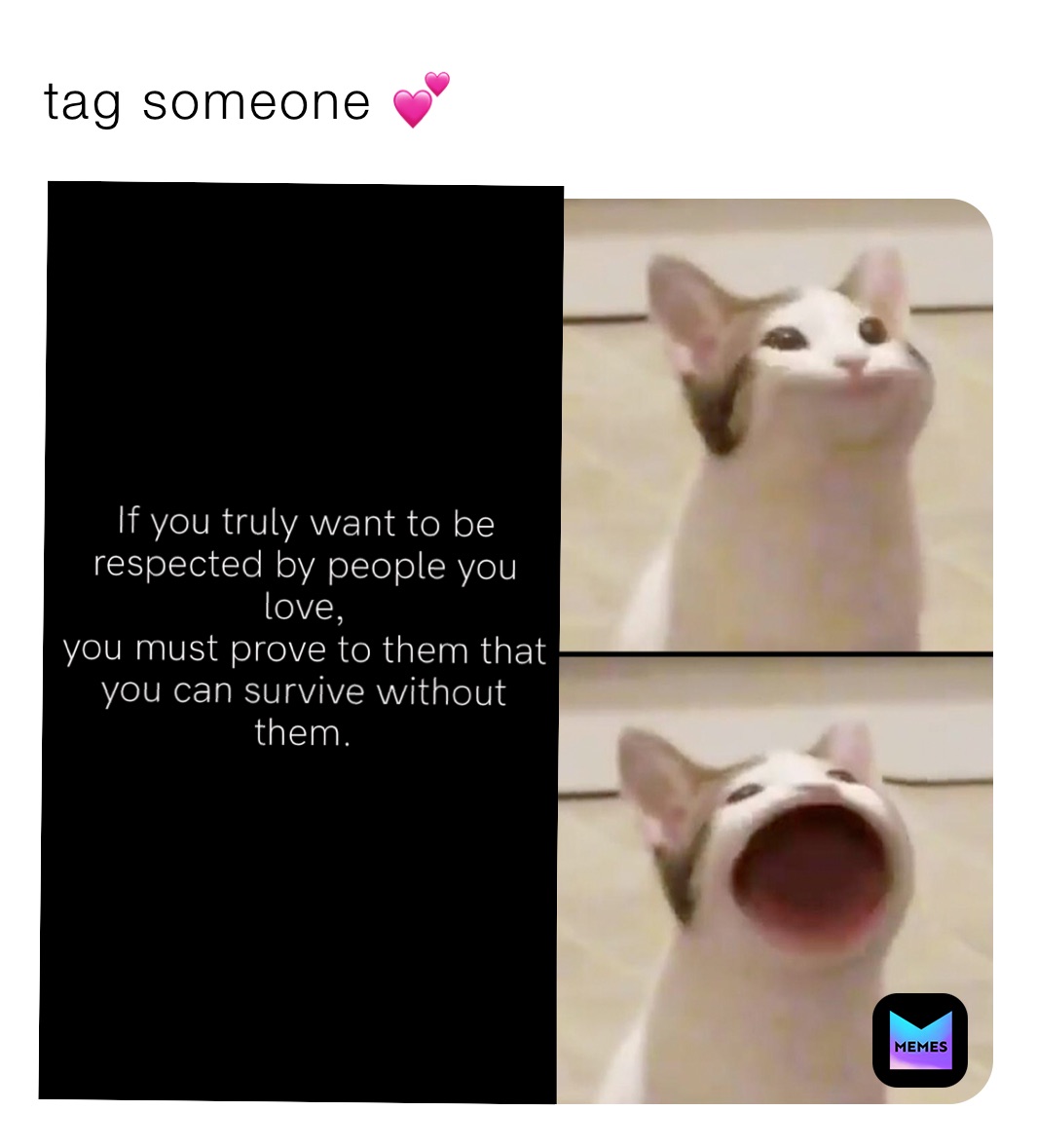 tag someone 💕