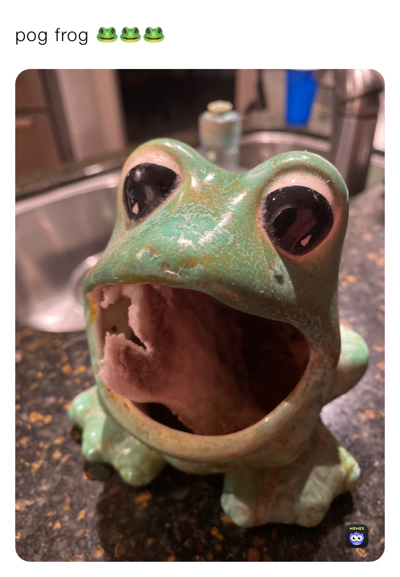 pog frog 🐸🐸🐸