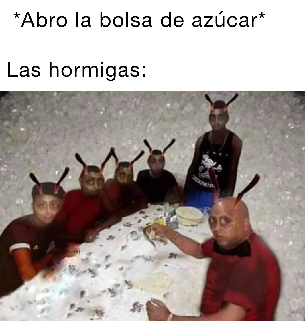   *Abro la bolsa de azúcar*

 Las hormigas: